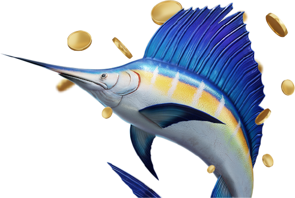 魚