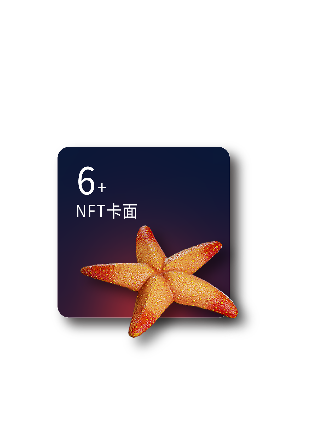 6+NFT卡面