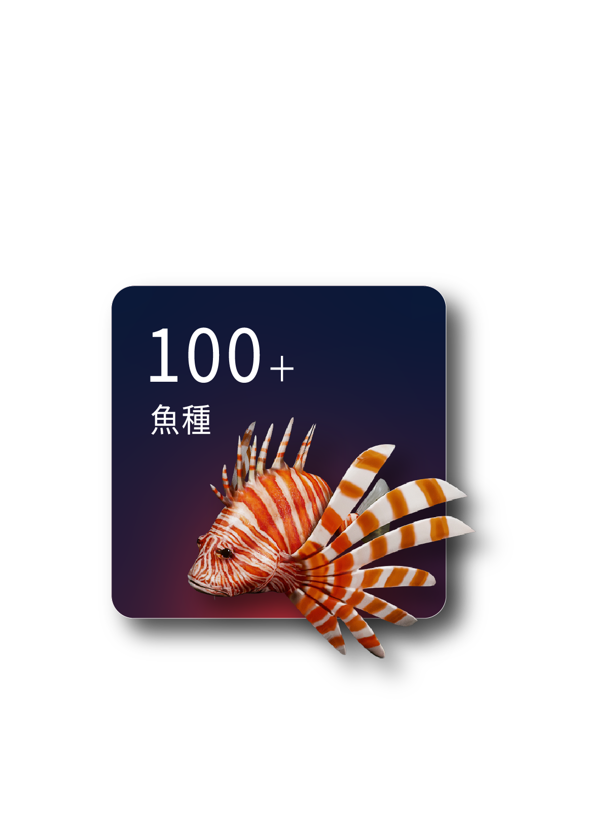 100+魚種